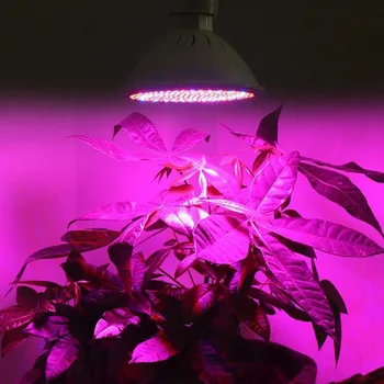 200 LED Planta Crecer Luz Luces de Crecimiento de los Bulbos E27 Lámpara para Plantas de Hidroponía Sistema de Flor de Vegetales de Invernadero Interior