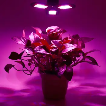 360 Todos los LED Redondo Fito Lámpara E27 100W 200W 300W Espectro Completo LED Crecen la Luz Horticole Interior de las Plántulas de Flor Crecer Tienda Cuadro