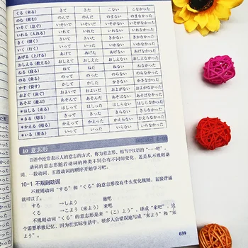 3pcs/set Aprendizaje del Japonés Libro Lntroductory de Auto-estudio Estándar Japonés de Educación Primaria Curso Palabra Japonesa Libro de Gramática