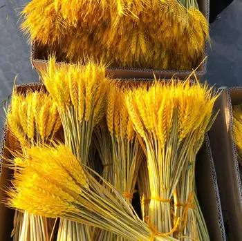 50/100Pcs Artificial espigas Natural de Flores Secas de Grano Ramo de flores Para la Fiesta de la Boda Decoración de Tres Colores JH89