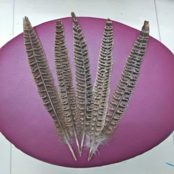50PCS 15-35 cm / 6-14inches natural plumas de faisán, Amherst pollo plumas de la cola de bricolaje de Sombreros manualidades de decoración