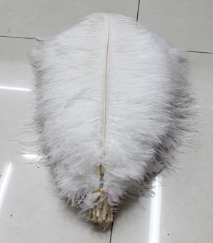 Caliente! Envío libre de los fabricantes de venta 50 piezas blancas plumas de avestruz 8-10inches/20-25cm