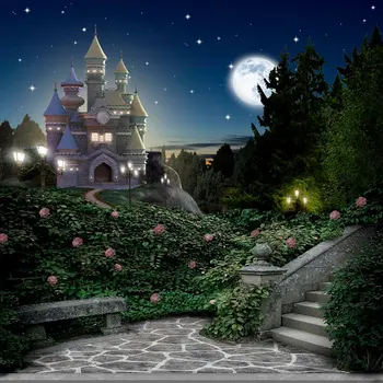 El Castillo de cenicienta de la noche de la luna de Jardín telón de fondo de Alta calidad de impresión del Equipo del partido fondos
