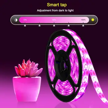 El LED crece la Luz de Espectro Completo USB Crecer Tira de la Luz de 0,5 m 1m 2m 3m 2835 SMD dc 5v LED Fito Cinta de Semillas de Flores y Plantas de los Invernaderos