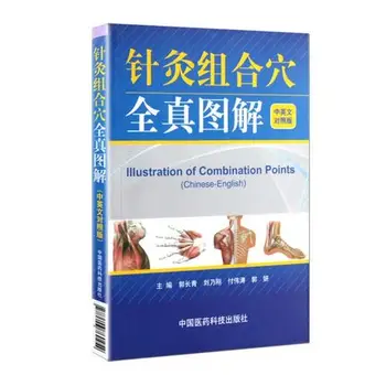 Ilustración de una combinación de puntos de Chino-inglés de acupuntura masaje de aprendizaje libro