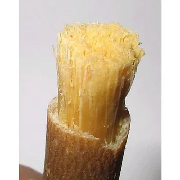 Miswak de 12 piezas de Vacío Miswak de la Salud Dental de la Pluma Fresca Miswak Miswaak مسواك طيبة Cepillo de dientes Suave Viajes de Vacaciones en el Cepillo de dientes