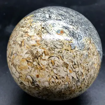 Natural de fósiles esfera bola de cristal natural de madagascar piedra de curación de cristal
